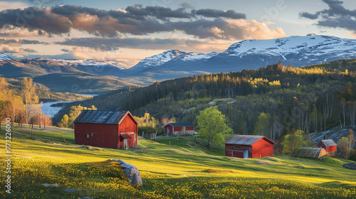 Landscape in the mountains in summer