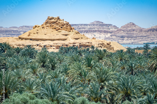 Mountain of the dead, Siwa Oasis, Libyan Desert, Egypt