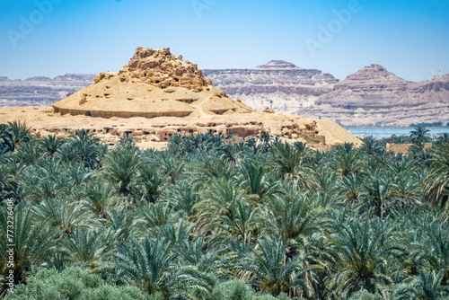 Fotografía Mountain of the dead, Siwa Oasis, Libyan Desert, Egypt