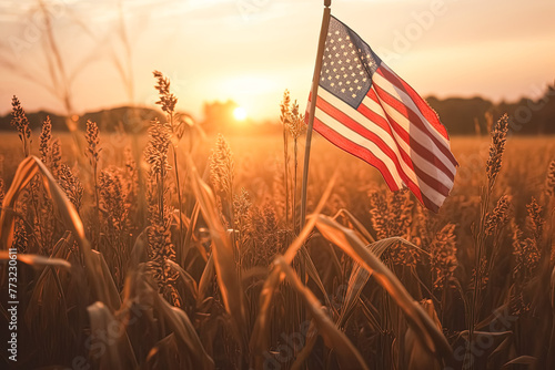A large American flag is flying in a field of tall grass. The sun is setting, casting a warm glow over the scene. The flag is the focal point of the image, and the grassy field provides a peaceful
