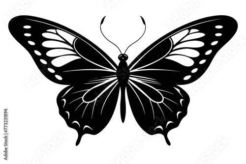 butterfly black silhouette image vector illustration, white background 