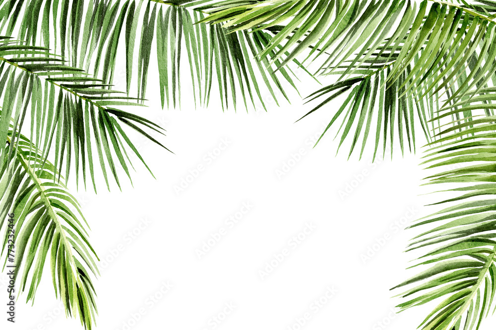 Naklejka premium watercolor frame with tropical coconut leaves, hand drawn sketch of green jungle plant, tree, botanical illustration of fresh leaf, twig, brunch, floral element isolated on white background