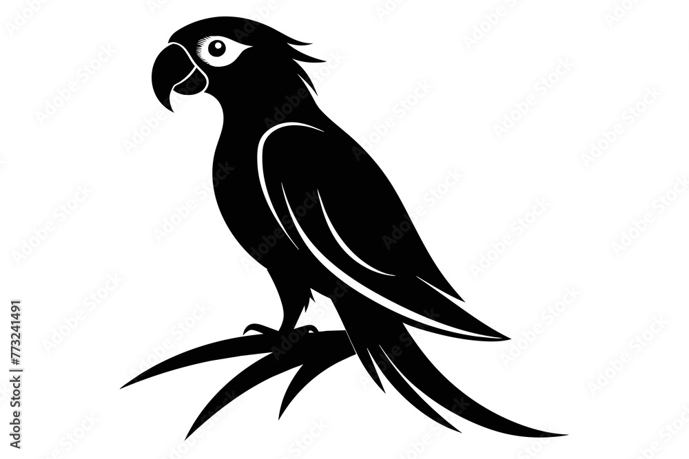 silhouette image,parrot,vector illustration,white background 