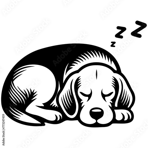Beagle Dog Illustration.