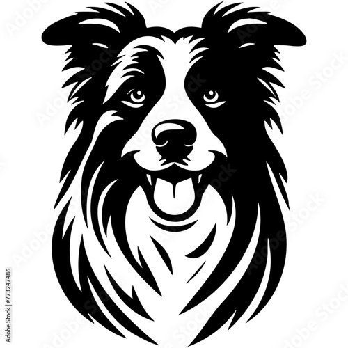 Border Collie Dog Illustration.