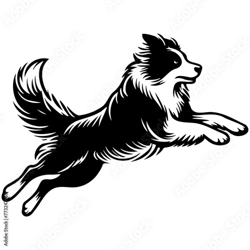 Border Collie Dog Illustration.