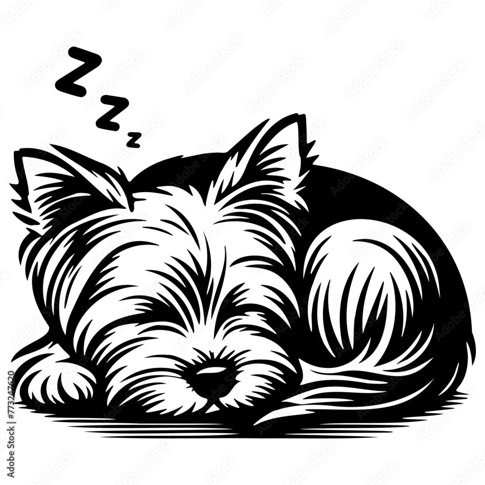 Yorkshire Terrier Dog Sleeping Illustration.
