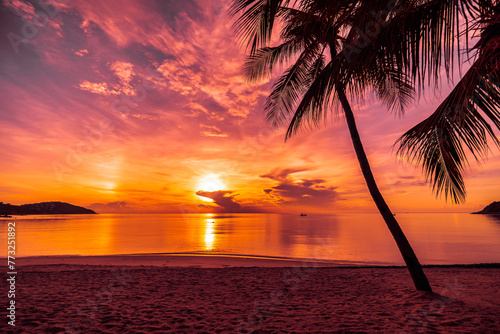 At sunset time on the tropical beach and sea with coconut palm tree