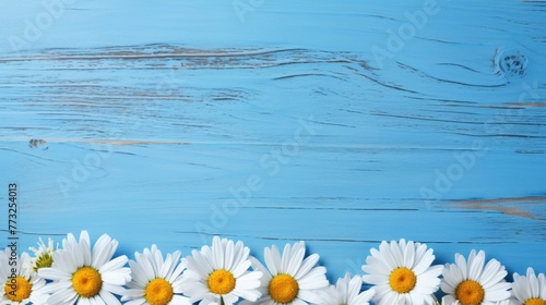 A Fresh Daisy Border Arrangement