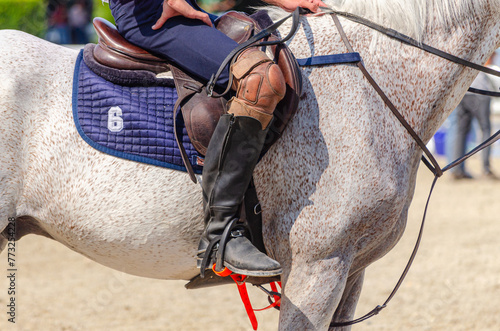 rider on his horse in a horse ball game, equestrian sports concept © Vic