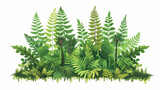 Fishing cartoon natural green fern in the forest flat