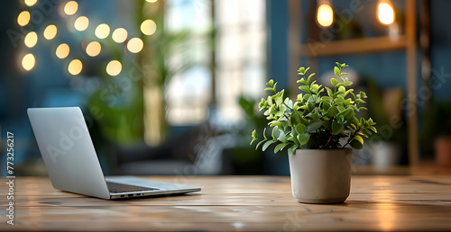 Modern office interior with laptop and potted plant blurred background. High-resolution