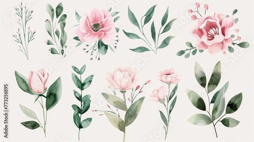 Set of watercolor floral illustrations. DIY flower, green leaf elements collection - for bouquets, wreaths, arrangements, wedding invitations, birthdays, anniversary, postcards, greetings, cards,