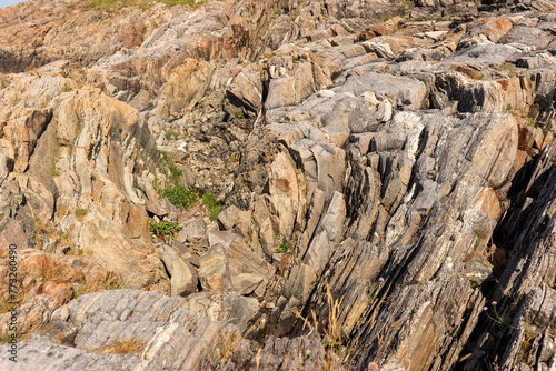 Rock texture. Closeup natural rock background