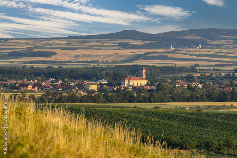 Palava landscape near Dolni Dunajovice, Southern Moravia, Czech Republic Palava landscape near Dolni Dunajovice, Southern Moravia, Czech Republic
