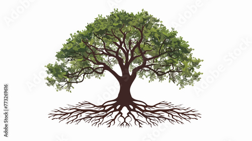 Illustration Oak Tree with Roots flat vector isolated
