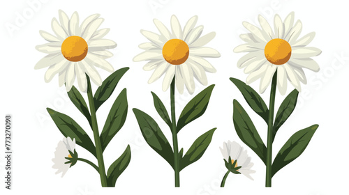 Illustration of camomile with tearoff petals vector photo