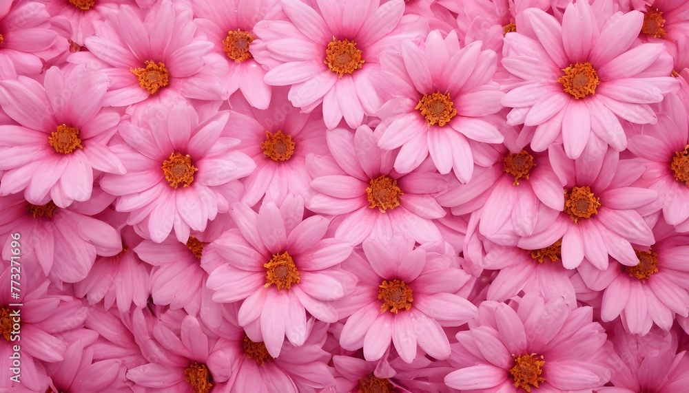 Beautiful Pink flowers background