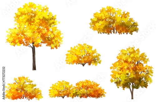 Vertor set of autumn tree,plants side view for landscape elevation and section,eco environment concept design,watercolor ginkgo tree illustration,colorfull
 season