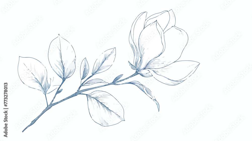 Vector outline silhouette of hand drawn magnolia flow