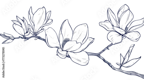 Vector outline silhouette of hand drawn magnolia flow