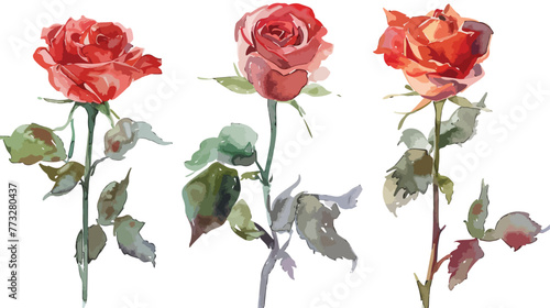 Watercolor hand painted roses. Can be used as backgro