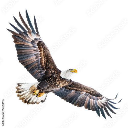Eagle flying isolated on transparent background © MR. Motu