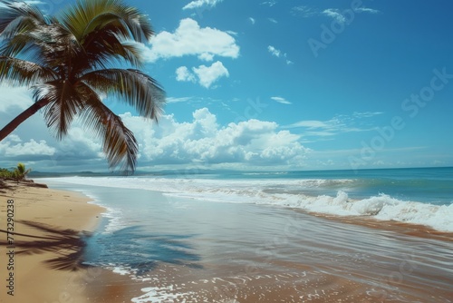 A palm tree sways gently on a tranquil beach, with the vast ocean providing a picturesque backdrop.