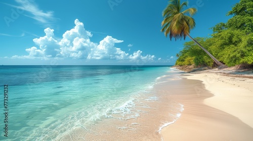 A beach scene featuring a palm tree in the foreground and a blue sky with clouds in the background