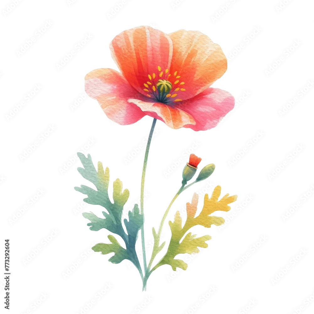 Flowers painted with watercolors to accompany various cards and greeting cards