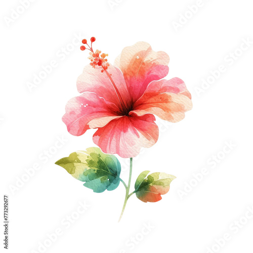 Flowers painted with watercolors to accompany various cards and greeting cards