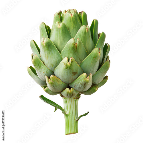 Green artichoke isolated on transparent background