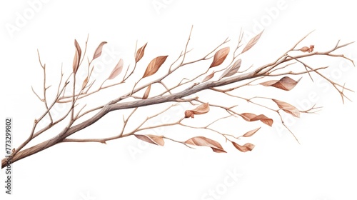 Watercolor Illustration  Willow Branches and Tree Reflection