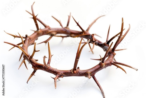 crown of thorns isolated on white background