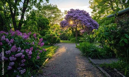 A garden pathway lined with blooming lilac bushes © TheoTheWizard