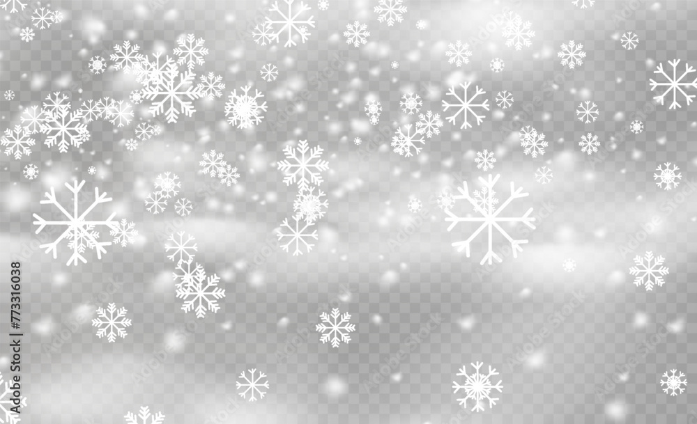 Christmas snow flake pattern. Snowfall, snowflakes in different shapes and forms. Many white cold flakes elements on transparent background. Magic white snowfall texture. Christmas snow flake pattern. Snowfall, snowflakes in different shapes and forms. Many white cold flakes elements on transparent background. Magic white snowfall texture.