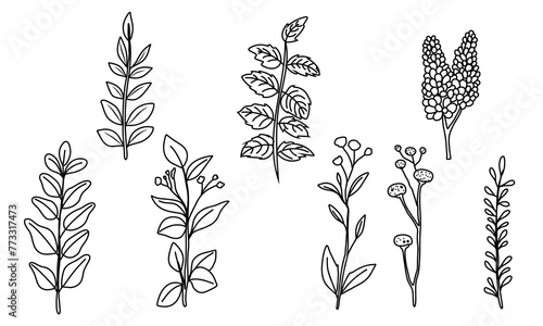 set of doodles of flower plants template