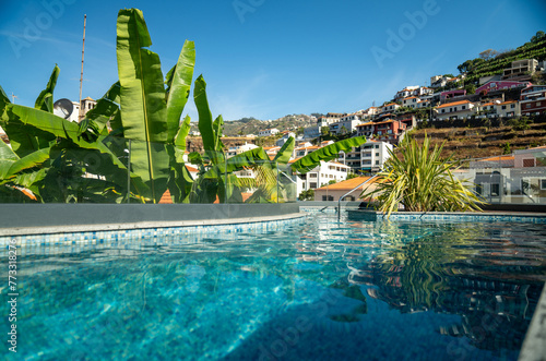 Valokuva View of a tranquil blue pool surrounded by lush green trees: Madeira island
