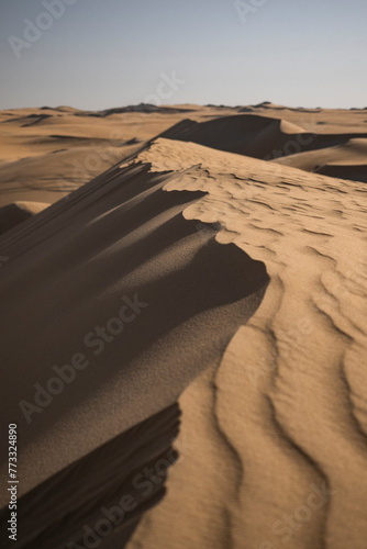 Sand desert in Siwa Oasis, Egypt