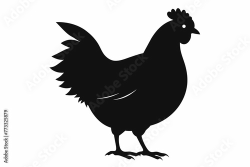 Hen black silhouette vector with white background.