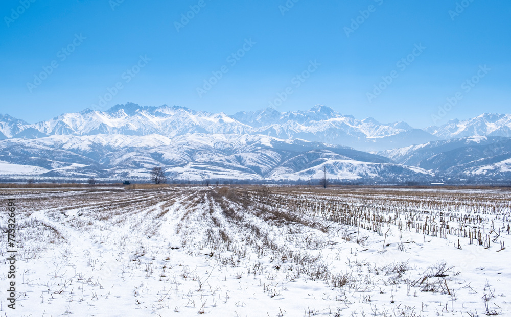 Mystical beautiful winter landscape. Old corn field and high snowy mountains. Landscape not far from Almaty, Kazakhstan.