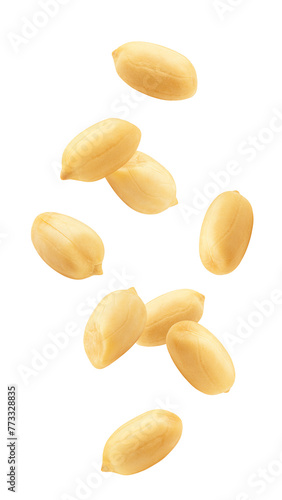 Falling peanut isolated on white background, full depth of field