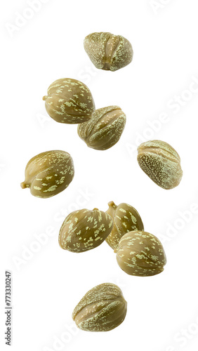 Falling caper isolated on white background, full depth of field