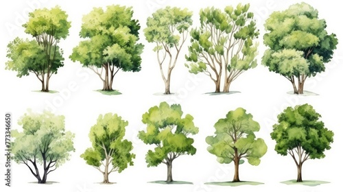 watercolor sketch style of green tree set  