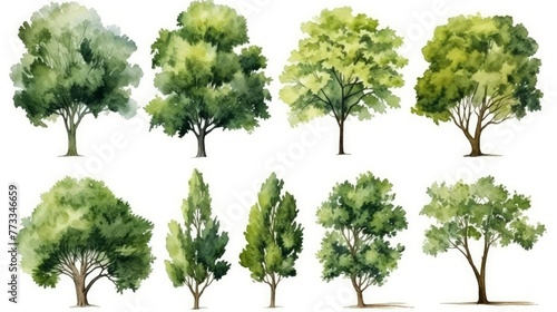 watercolor sketch style of green tree set  