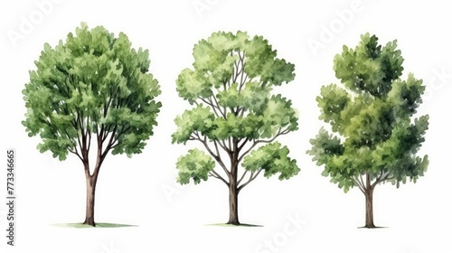 watercolor sketch style of green tree set  