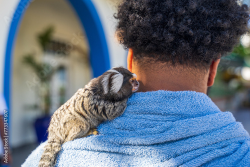 Photography Close up of a white eared marmoset