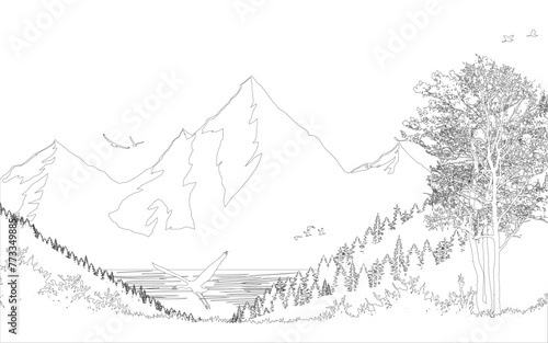 Line art Mountain landscape forest woods scenary outline vector background cover poster silhouette wallpaper jungle birds trees beautiful nature scene illustration