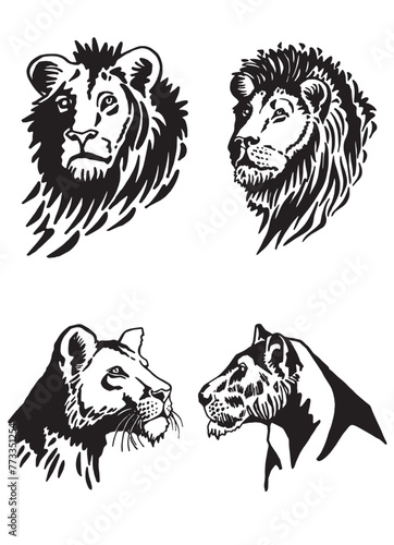 Portraits of lion and lioness in tattoo style, graphical illustration on white background	