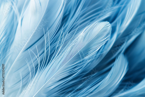 Detailed macro shot of blue feathers, revealing intricate patterns and textures in high resolution